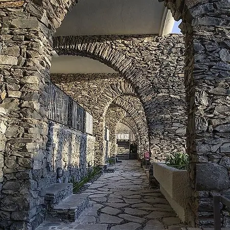 Buganvilla (adults Only)